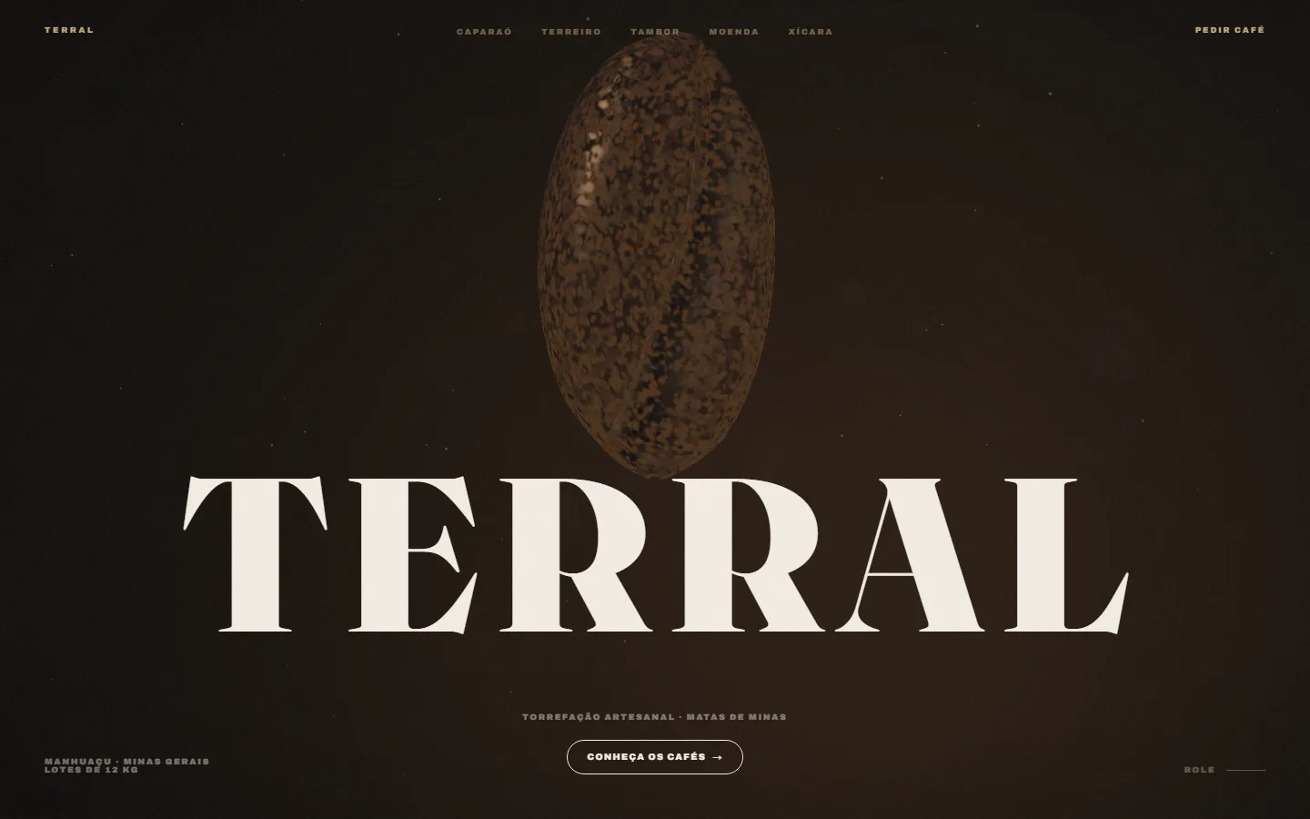 Tela inicial do site TERRAL